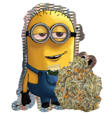 Bob Kush 25% THCA