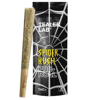 Preroll Spider THC+