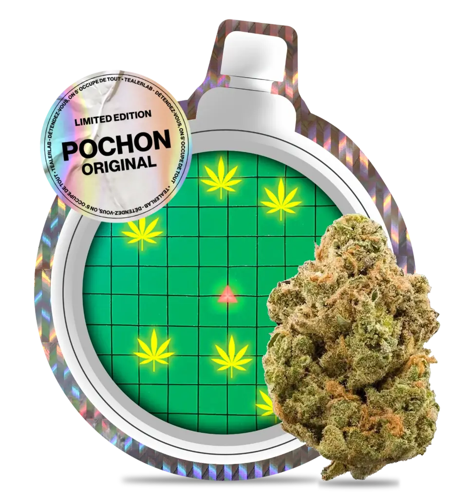 DBZ OG CBX