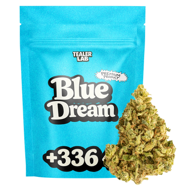 Blue Dream TH+